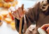 Мирис и вкус на сезоната: Уживајте во домашен џем од кајсии – природна сладост без додадени засладувачи