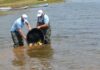 Мавровското Езеро порибено со 460 килограми крап