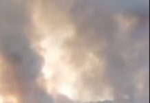 Пожар го уништи хрватскиот остров Корчула: Изгорени шуми, лозја и стотици хектари