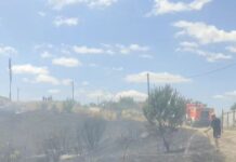 За „влакно” избегната уште една трагедија во Кочани