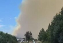 Голем пожар во близина на Пробиштип, изгоре една куќа