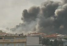 Токсичен облак над Солун: Пожарот брзо се шири, евакуирани три села, изгореа две фабрики/ВИДЕО