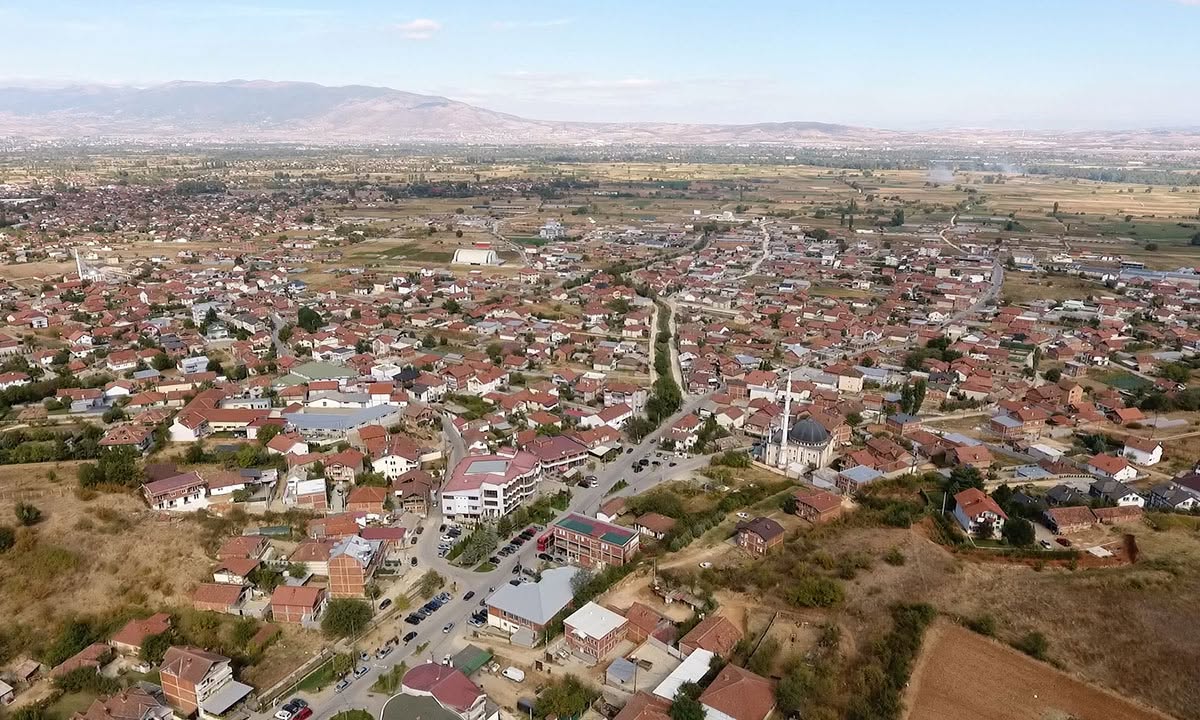 revizorski