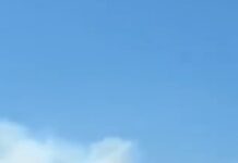 Пламените јазици буквално ја проголтаа Грција: Нов пожар избувна западно од Атина, густи облаци од чад видливи во центарот на главниот град/видео