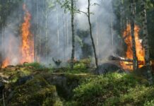 Повеќе од 20.000 луѓе евакуирани поради пожари во Шпанија добија дозвола да се вратат во своите домови