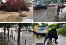 Скопје под вода: Поројот остави хаос, заглавени возила и паднати дрвја низ градот, надлежните тврдат состојбата се стабилизира