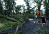 МАКЕДОНИЈА ЗАКРЕПНУВА ОД ГОЛЕМОТО НЕВРЕМЕ: Епски ураган направи пустош и го откри сиот јавашлак