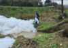 Првичните резултати за пената во Вардар покажале дека се е во границите на дозволеното – конечните анализи се очекуваат на 4 август