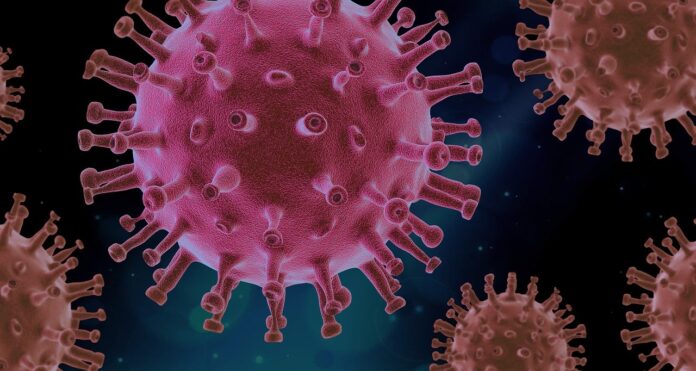 virus-4937553_1280-1-696x371