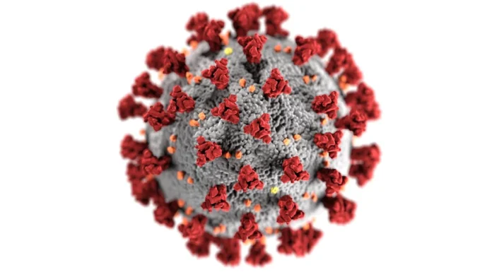 virus slika