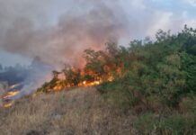 Пет активни пожари во земјава, најсериозно во Старо Нагоричане, каде што била зафатена и куќа