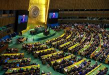 Се бара јунак кој ќе ги спаси Обединетите нации. Гутереш си заминува, седум кандидати се борат за неговата фотелја