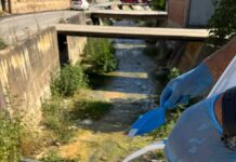 Комарци и канали полни со застојана вода – ќе помогне ли прскањето?