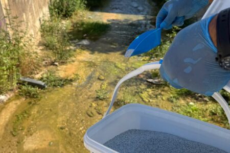 Комарци и канали полни со застојана вода – ќе помогне ли прскањето?