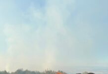 Нов пожар над селото Вржале во околината на Скопје, поради непристапниот терен за утре наутро е планирана и интервенција од воздух