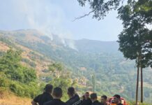 Ангажирани се сите ресурси за ставање под контрола на пожарот во Палиград