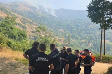 Ангажирани се сите ресурси за ставање под контрола на пожарот во Палиград