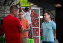 Пиперката на кантар, земјоделецот на мака