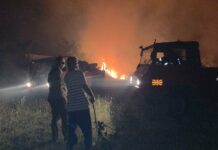 Алармантно: Огнот се спушти до првите куќи во село Лозани – битолските пожарникари и неколку селани спречиле катастрофа