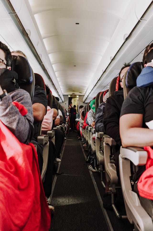 avion-patnici-pexels-kelly-23848600