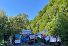Сакаат да ги исечат вените на планината Кожув
