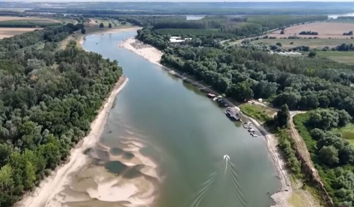 dunav novi sad video