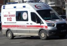 Инцидент во Туриција: Тригодишно девојче се зарази со беснило откако беше изгребано од мачка
