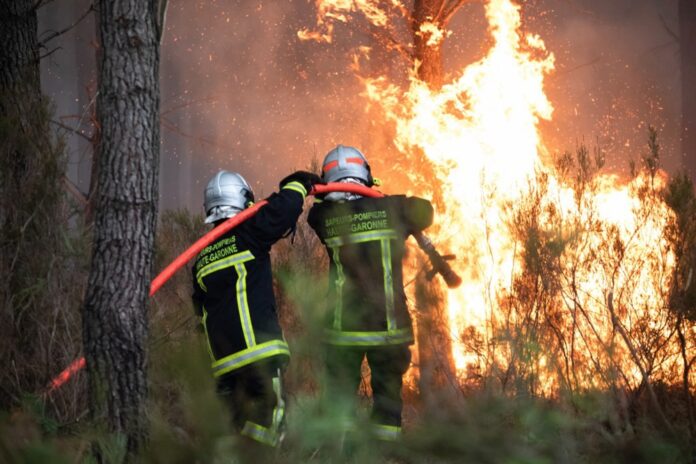 Wildfires rage in southern France