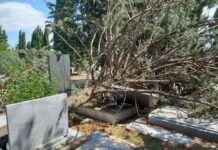 Паднати дрвја сè уште ги покриваат гробовите, за „Бутел“ тоа е штета од виша сила!