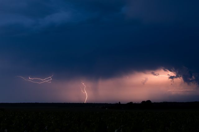 grom pexels-guillaumeb-38117244