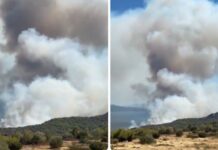 Потресни сцени во Грција, по пожарот остана чад: Нема одмор, борбата на пожарникарите кај Атина продолжува/ВИДЕО