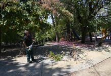Со нови екомашини и алатки ќе се одржува Градскиот парк во Кавадарци
