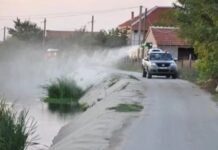 Ќе се прска против ларви од комарци
