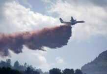 Шокантни податоци од опожарената и опустошена Франција: Речиси 500 лица се уапсени за подметнување пожари од почетокот на јули