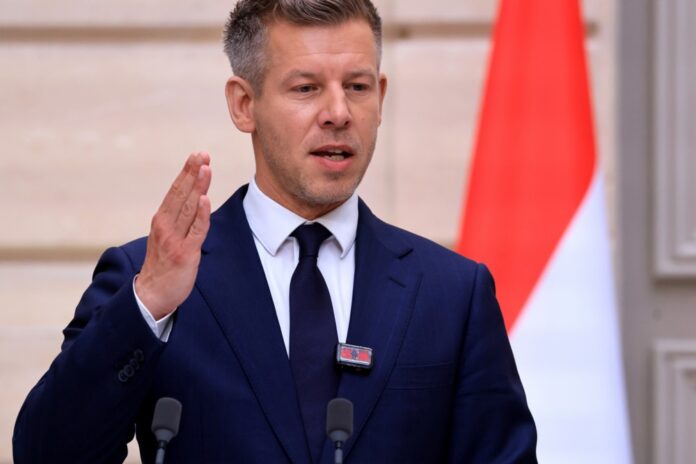 Hungarian Prime Minister Peter Magyar visits France