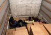 Тројца мигранти од Судан пронајдени меѓу кутии во грчки камион