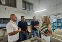 Охридското Езеро годинава ќе биде порибено со 1,6 милиони единки пастрмка