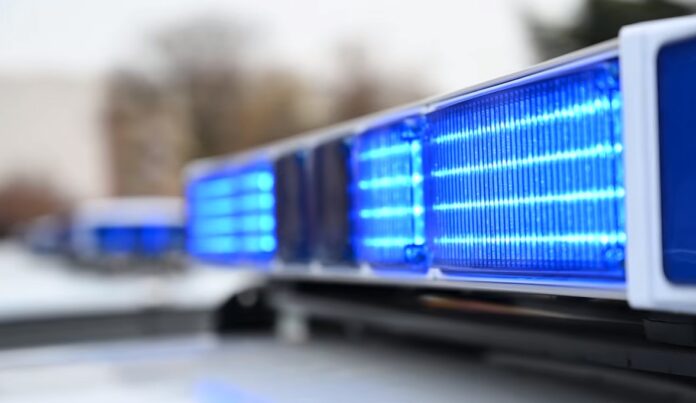 policisko svetlo nova mvr