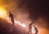 Со трактор пред огнот – Аце ја ораше земјата кога тргна пламенот кон селото