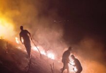 Со трактор пред огнот – Аце ја ораше земјата кога тргна пламенот кон селото