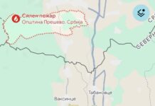 Силен пожар се приближува од Србија кон Македонија, густ чад го обви Липково над Табановце