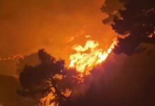 Ноќ на ужас кај Омиш: Во голем пожар седум лица се во критична состојба, огнот голта се прес себе/ВИДЕО