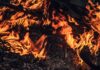 ПОЖАРНИКАР ПОДМЕТНУВАЛ ПОЖАРИ: Неверојатна е причината зошто го сторил тоа