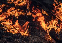 Апсолутен црвен аларм за Балканот и Европа: Објавена мапа за опасност од пожари