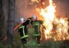 ПИРОМАНИТЕ ЗАД РЕШЕТКИ: 500 лица уапсени во Франција поради пожарите