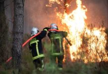ПИРОМАНИТЕ ЗАД РЕШЕТКИ: 500 лица уапсени во Франција поради пожарите