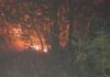 Драматична ноќ во Црна Гора: Пожарот се приближи до куќите во Херцег Нови/ВИДЕО