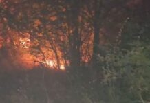 Драматична ноќ во Црна Гора: Пожарот се приближи до куќите во Херцег Нови/ВИДЕО