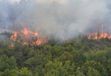 Критична ноќ во кавадаречко: Пожарот сè уште беснее, пријавени и два нови огнени фронта