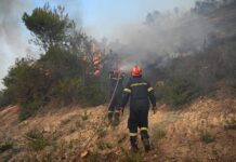 Каде сè гореше на Јадранот? Застрашувачки пожари го зафатија брегот
